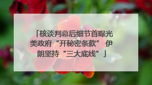 核谈判幕后细节首曝光 美政府“开秘密条款” 伊朗坚持“三大底线”