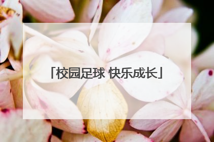 校园足球 快乐成长