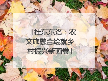 桂东东洛：农文旅融合绘就乡村振兴新画卷