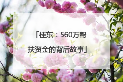 桂东：560万帮扶资金的背后故事