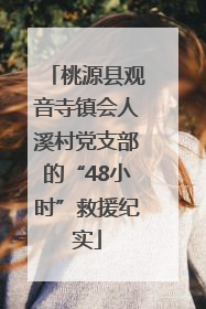 桃源县观音寺镇会人溪村党支部的“48小时”救援纪实