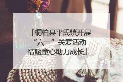 桐柏县平氏镇开展“六一”关爱活动 情暖童心助力成长