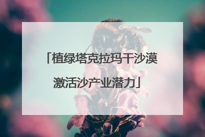 植绿塔克拉玛干沙漠 激活沙产业潜力