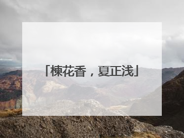 楝花香，夏正浅