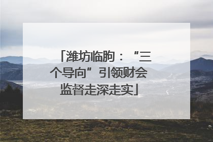 潍坊临朐：“三个导向”引领财会监督走深走实