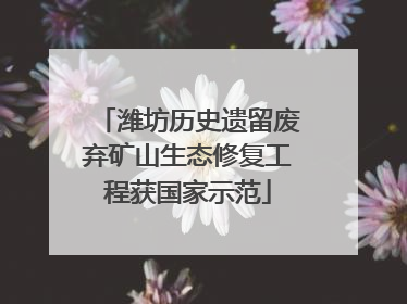 潍坊历史遗留废弃矿山生态修复工程获国家示范