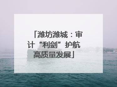 潍坊潍城：审计“利剑”护航高质量发展