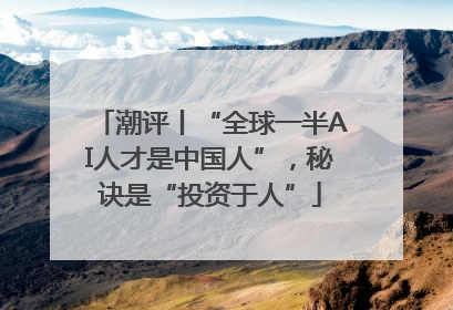 潮评丨“全球一半AI人才是中国人”，秘诀是“投资于人”