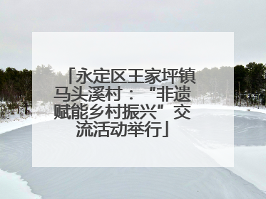 永定区王家坪镇马头溪村：“非遗赋能乡村振兴”交流活动举行