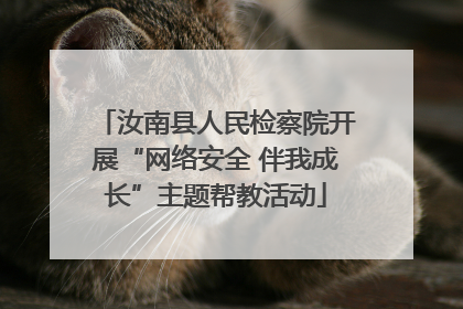 汝南县人民检察院开展“网络安全 伴我成长”主题帮教活动