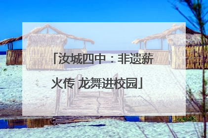 汝城四中：非遗薪火传 龙舞进校园