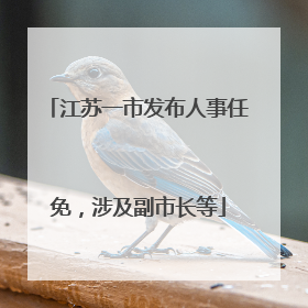 江苏一市发布人事任免，涉及副市长等