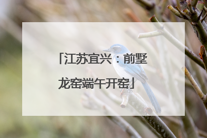 江苏宜兴：前墅龙窑端午开窑