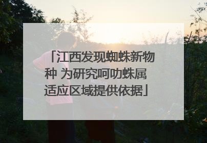 江西发现蜘蛛新物种 为研究呵叻蛛属适应区域提供依据
