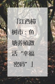 江西樟树市：鱼塘养殖激活“幸福密码”