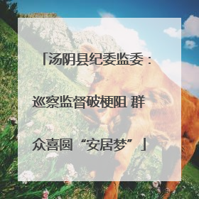 汤阴县纪委监委：巡察监督破梗阻 群众喜圆“安居梦”