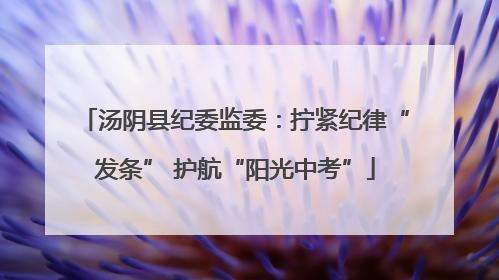 汤阴县纪委监委：拧紧纪律“发条” 护航“阳光中考”
