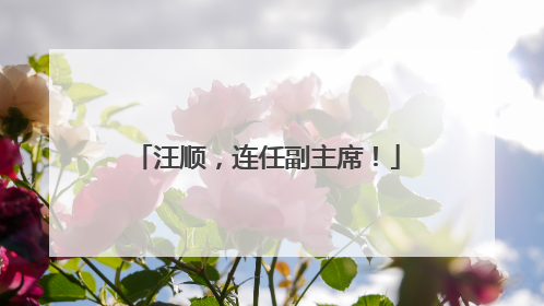 汪顺，连任副主席！