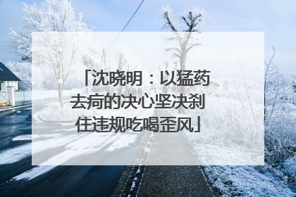 沈晓明：以猛药去疴的决心坚决刹住违规吃喝歪风