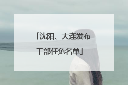 沈阳、大连发布干部任免名单