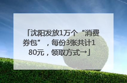 沈阳发放1万个“消费券包”，每份3张共计180元，领取方式→