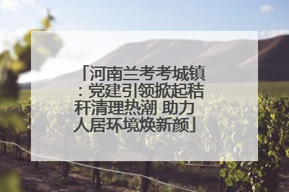 河南兰考考城镇：党建引领掀起秸秆清理热潮 助力人居环境焕新颜
