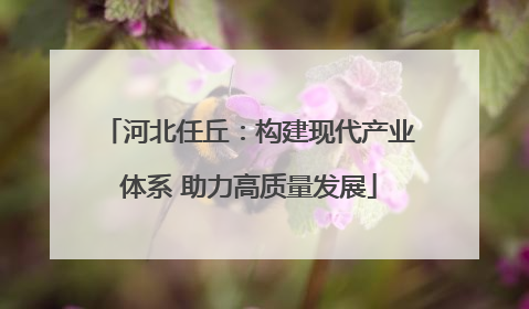 河北任丘：构建现代产业体系 助力高质量发展
