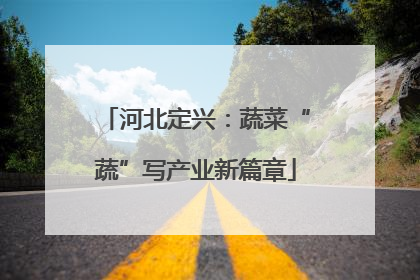 河北定兴：蔬菜“蔬”写产业新篇章