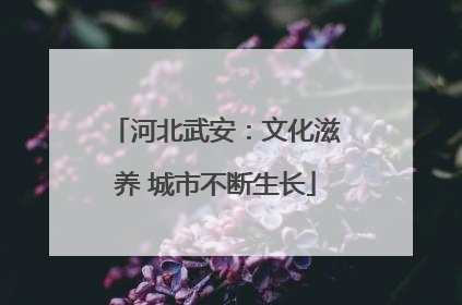 河北武安：文化滋养 城市不断生长