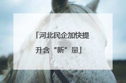 河北民企加快提升含“新”量