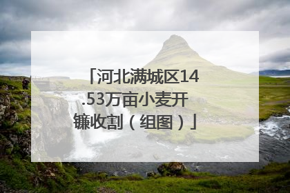 河北满城区14.53万亩小麦开镰收割（组图）