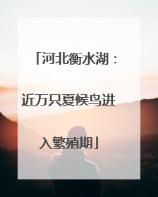 河北衡水湖：近万只夏候鸟进入繁殖期