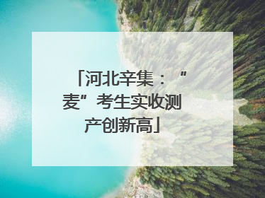 河北辛集：“麦”考生实收测产创新高