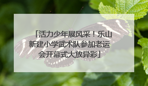 活力少年展风采！乐山新建小学武术队参加老运会开幕式大放异彩