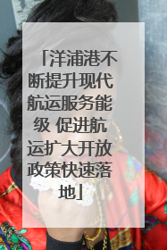 洋浦港不断提升现代航运服务能级 促进航运扩大开放政策快速落地
