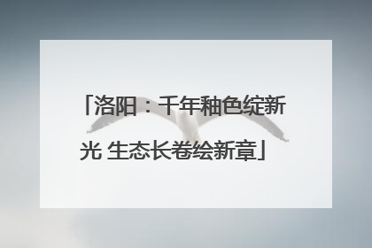 洛阳：千年釉色绽新光 生态长卷绘新章