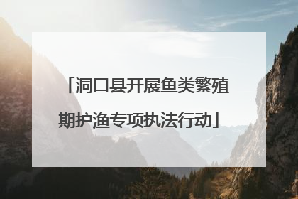 洞口县开展鱼类繁殖期护渔专项执法行动