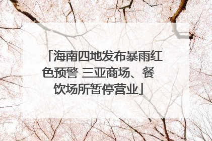 海南四地发布暴雨红色预警 三亚商场、餐饮场所暂停营业