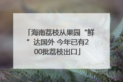 海南荔枝从果园“鲜”达国外 今年已有200批荔枝出口