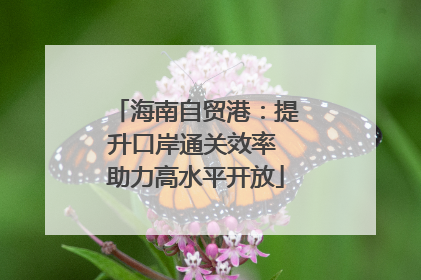 海南自贸港：提升口岸通关效率 助力高水平开放