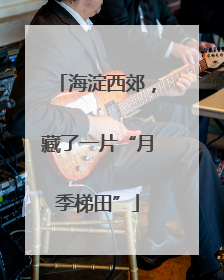 海淀西郊，藏了一片“月季梯田”