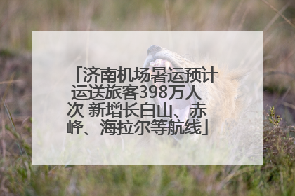 济南机场暑运预计运送旅客398万人次 新增长白山、赤峰、海拉尔等航线