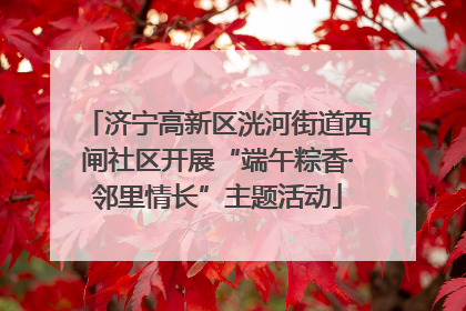 济宁高新区洸河街道西闸社区开展“端午粽香·邻里情长”主题活动