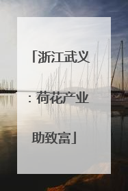 浙江武义：荷花产业助致富