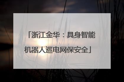 浙江金华：具身智能机器人巡电网保安全