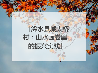 浠水县城太桥村：山水画卷里的振兴实践