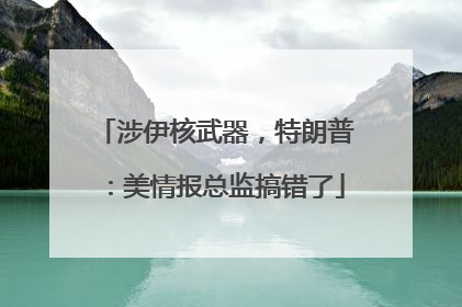 涉伊核武器，特朗普：美情报总监搞错了