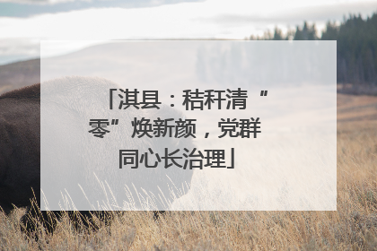淇县：秸秆清“零”焕新颜，党群同心长治理
