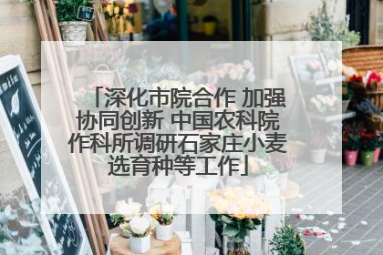 深化市院合作 加强协同创新 中国农科院作科所调研石家庄小麦选育种等工作