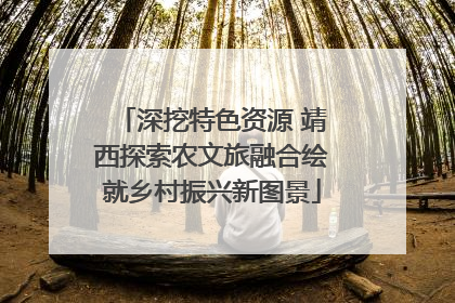 深挖特色资源 靖西探索农文旅融合绘就乡村振兴新图景